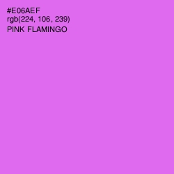 #E06AEF - Pink Flamingo Color Image