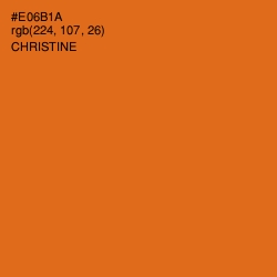 #E06B1A - Christine Color Image
