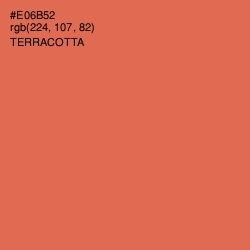 #E06B52 - Terracotta Color Image