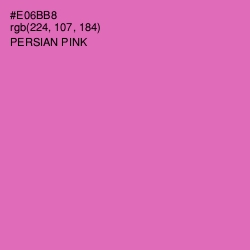 #E06BB8 - Persian Pink Color Image