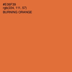 #E06F39 - Burning Orange Color Image