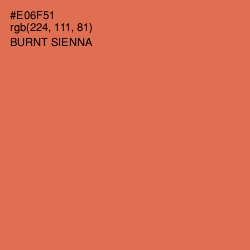 #E06F51 - Burnt Sienna Color Image