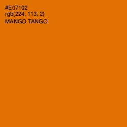 #E07102 - Mango Tango Color Image