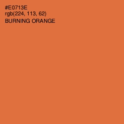 #E0713E - Burning Orange Color Image