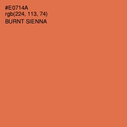 #E0714A - Burnt Sienna Color Image