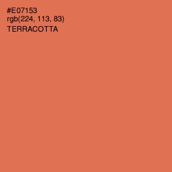 #E07153 - Terracotta Color Image