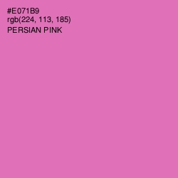 #E071B9 - Persian Pink Color Image