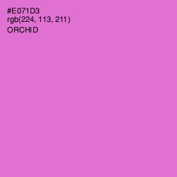 #E071D3 - Orchid Color Image