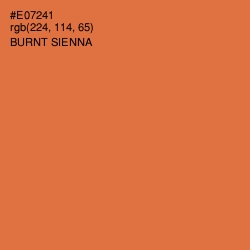 #E07241 - Burnt Sienna Color Image