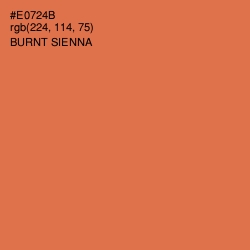#E0724B - Burnt Sienna Color Image