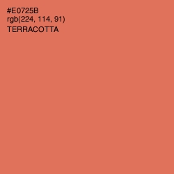 #E0725B - Terracotta Color Image