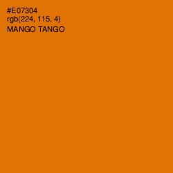 #E07304 - Mango Tango Color Image