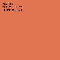 #E07450 - Burnt Sienna Color Image