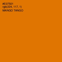 #E07501 - Mango Tango Color Image