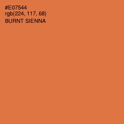 #E07544 - Burnt Sienna Color Image