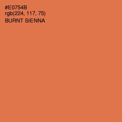 #E0754B - Burnt Sienna Color Image