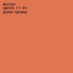 #E07551 - Burnt Sienna Color Image