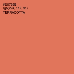 #E0755B - Terracotta Color Image