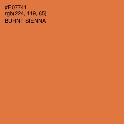 #E07741 - Burnt Sienna Color Image