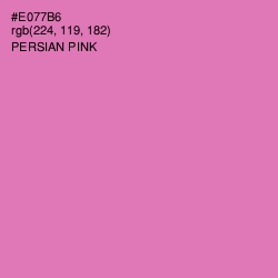 #E077B6 - Persian Pink Color Image