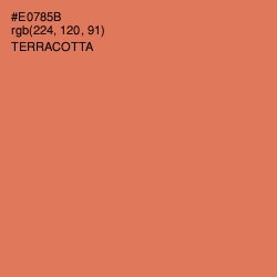 #E0785B - Terracotta Color Image