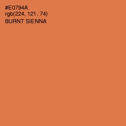 #E0794A - Burnt Sienna Color Image