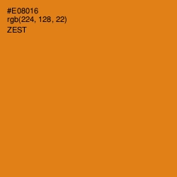 #E08016 - Zest Color Image