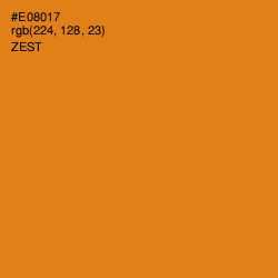 #E08017 - Zest Color Image