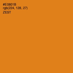 #E0801B - Zest Color Image