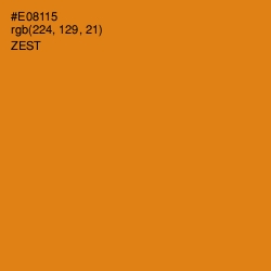 #E08115 - Zest Color Image