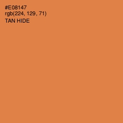 #E08147 - Tan Hide Color Image