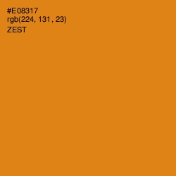 #E08317 - Zest Color Image