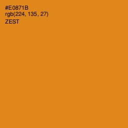 #E0871B - Zest Color Image