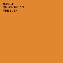 #E0872F - Fire Bush Color Image