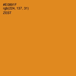 #E0891F - Zest Color Image