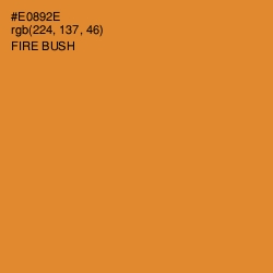 #E0892E - Fire Bush Color Image