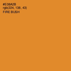 #E08A2B - Fire Bush Color Image