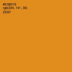 #E08D1E - Zest Color Image