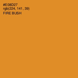 #E08D27 - Fire Bush Color Image