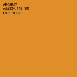 #E08E27 - Fire Bush Color Image