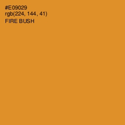 #E09029 - Fire Bush Color Image