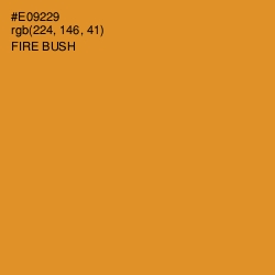 #E09229 - Fire Bush Color Image