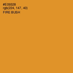 #E09328 - Fire Bush Color Image