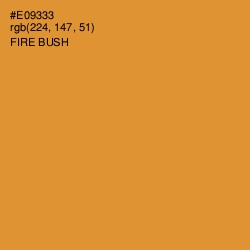 #E09333 - Fire Bush Color Image