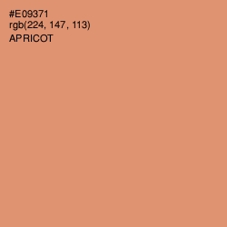 #E09371 - Apricot Color Image