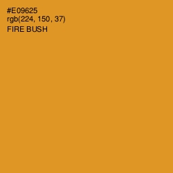 #E09625 - Fire Bush Color Image
