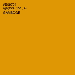 #E09704 - Gamboge Color Image