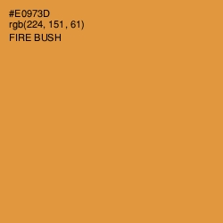 #E0973D - Fire Bush Color Image