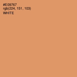 #E09767 - Apricot Color Image