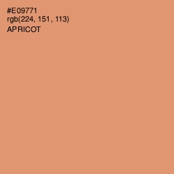#E09771 - Apricot Color Image